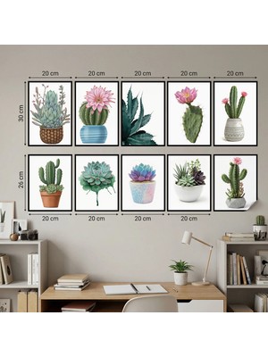 Akıllı Kağıt Çerçeve Görünümlü Statik Tutunma Özellikli 10 Lu Kaktüslü Poster Set