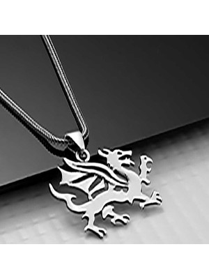 Tienda Elegante Gümüş Ejderha Erkek Kolye