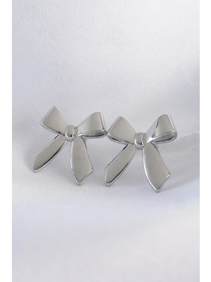 Luz&Pos Pirinç Gümüş Renk Düz Plaka Fiyonk Küpe