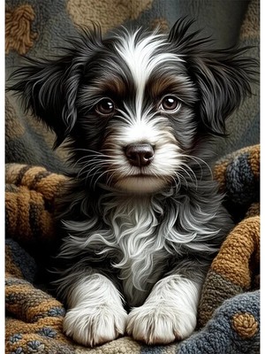 Bedeko Siyah Beyaz Sevimli Köpek Mdf Ahşap Tablo