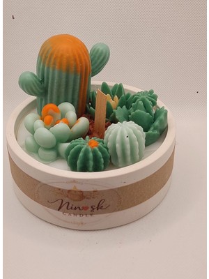 Silent Garden Jr Doğal Kaktüs Görünüm Soya Mum Ahşap Fitil