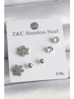 Luz&Pos 316L Çelik Gümüş Renk Zirkon Taşlı Kar Tanesi Model Kadın Küpe Seti
