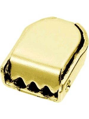 Hapshoe Gold Altın Renk Metal Ayakkabı Bağcık Ucu Klipsi 30 Adet