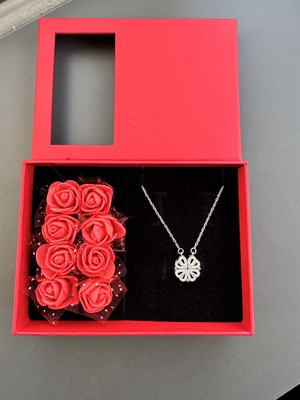 Gözde Aksesuarım Güllü Kutuda Gümüş Renk Mıknatıslı Yonca Kolye Çelik