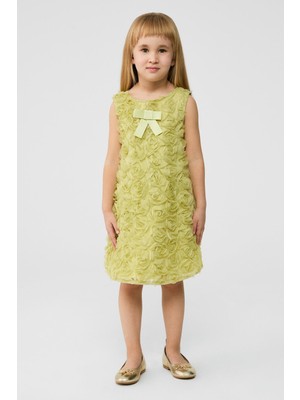 Tyess Bg Store Kız Çocuk Yeşil Elbise