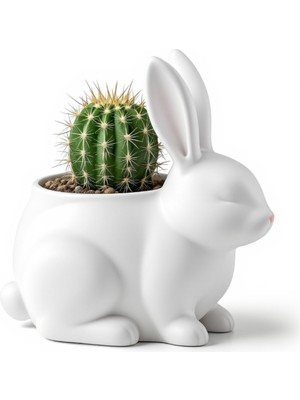 Razmo Sevimli Tavşan Figürlü Dekoratif Saksı ve Vazo - Modern Sukulent ve Kaktüs Çiçekliği, Estetik Masaüstü Objesi, Paskalya Temalı Ev Dekoru,tavşan Küçük Vazo Rabbit Flower Pot – Unique Vase & Decor