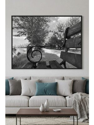 Safir Design Siyah Beyaz Doğa Manzaralı Dekoratif Çerçeveli Tablo