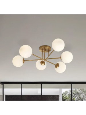 Ronisu Aydınlatma Santa Rosa 6 Başlıklı Plafonyer Avize Ra-Avz- 2681-35-49