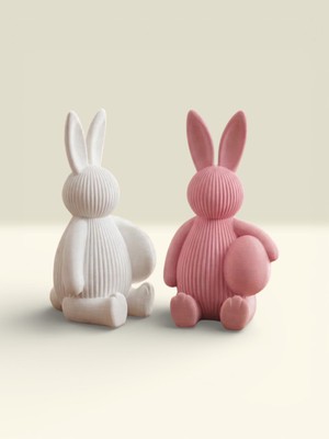 3D Tasarım Tavşan Yumurtalar – Dekoratif Özel Tasarım Set