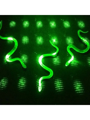 Yılan Kırkayak Şaka Oyuncağı 36 Adet