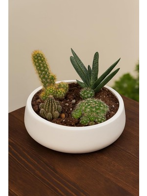 Renklimestore Lümin Modern Beyaz Dekoratif Kase – El Yapımı Minimalist Tasarım