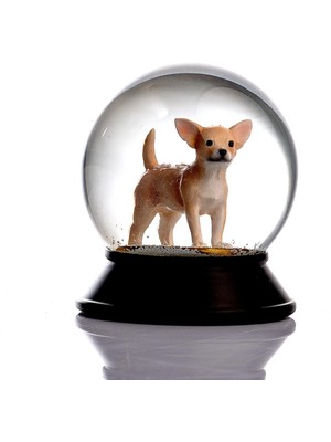 Renklimestore Cam ve Reçine Altın Patiler Köpek Chihuahua (Kayısı) Kar Küresi Hediye