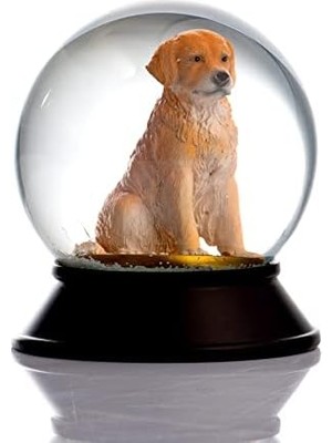 Renklimestore Cam ve Reçine Altın Patiler Köpek Retriever Kar Küresi Hediye