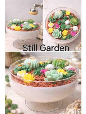 Minaşk Candle Still Garden Sukulent Bahçesi Soya Mum