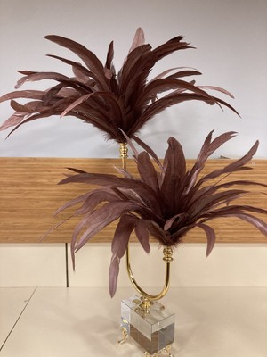 Plus Home Dekoratif Kristal Pirinç Sülün Tüy Obje Kahve Altın Yükseklik 67 cm