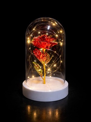 Rkm Store Sevgililer ve Anneler Gününe Özel Dekoratif Solmayan Sonsuzluk Gülü Işıklı Fanusta Gül Işıklı Fanus