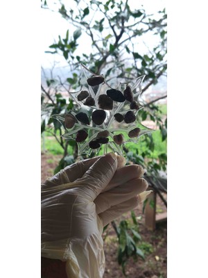 Miina Aksesuar Epoksi Renkli Taşlarla Süslenmiş Çay ve Kahve Bardak Altlığı