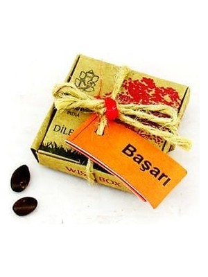 Efe Avm Dilek Tohumları - Başarı - Lisinya