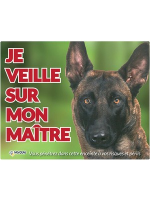 Velora Vadigran Malinois Köpek Fotoğraf Tabelası