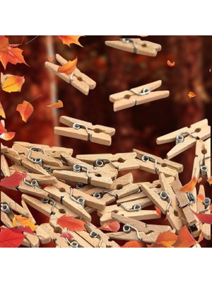 Oktay Sesal 200 Adet Mini Ahşap Mandal Nuturel Renk Mini Mandal Dekor Süsleme Mandalı  2.5 cm Mini Mandal