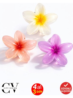 3 Adet Çift Renk Mandal Saç Tokası 8 cm - Şık ve Dayanıklı