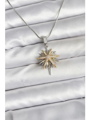 Belle Fusion Mey Ithalat® 316L Çelik Zincir Gümüş Renk Kutup Yıldızı Model Kadın Kolye