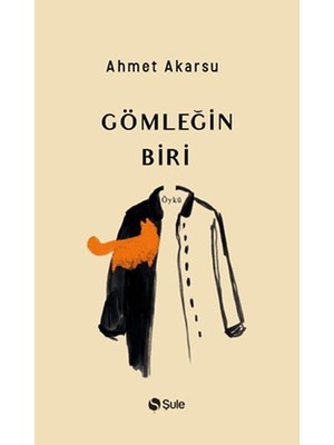 Aesco Gömleğin Biri