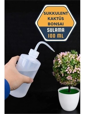 Belle Fusion Mey Ithalat® Sukkulent Kaktüs Bonsai Sulama Şişesi