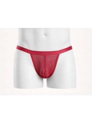 Jeu Jeu Erkek Tül Sheer Tanga Slip