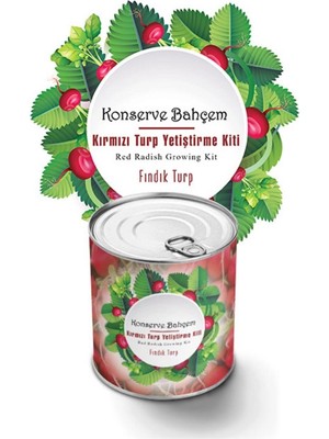 Mey İthalat Mey Ithalat®  Konserve Bahçem Evde Konservede Fındık Turp Yetiştirme Kiti