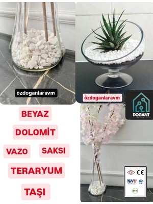 Dogant Dolomit Taşı Saksı Vazo Teraryum Fanus Dekor Süs Taşı Beyaz  2 kg