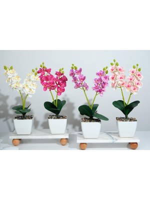Çiçekmisin Beyaz Plastik Saksıda Dekoratif Orkide 4'lü Set Yapay Çiçek