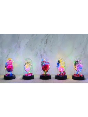 Aesco Işıklı Müzikli Romantik Büyük Gül