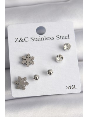 Aesco 316L Çelik Gümüş Renk Zirkon Taşlı Kar Tanesi Model Kadın Küpe Seti