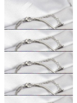 Aesco Pirinç Gümüş Renk Kaplan Model Charmlı Kadın Bileklik