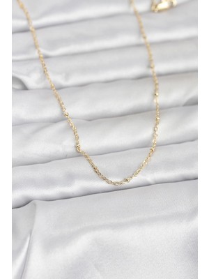 Aesco cm 14K Gold Renk Burgu Model 60 cm Kadın Kolye