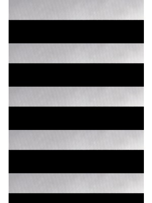 Aesco 316L Çelik Gümüş Renk Pembe Zirkon Taşlı Kelebek Tragus Piercing