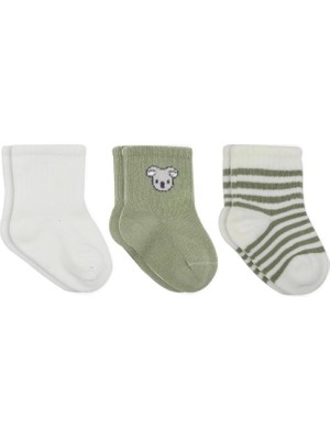 NessiWorld Koala Boy 3'lü Penye Soket Çorap 10133 Ekru
