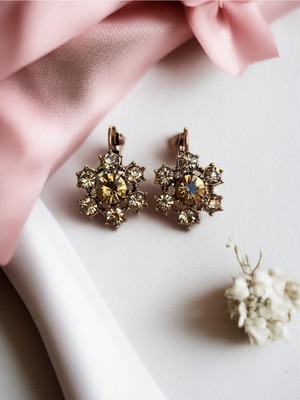 Fayra Accessories Kristal Taşlı Otantik Küpe
