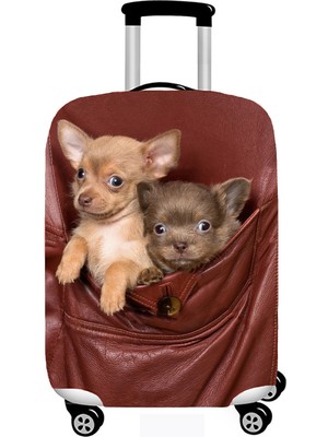 Smart Travel Kabin (Küçük) Boy Valiz Bavul Koruyucu Kılıfı