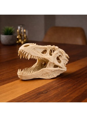 T-Rex Dinozor Kafatası / Dekoratif Fosil / Lunar Design