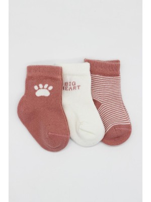 NW NessiWorld 3'lü Penye Soket Çorap BS10110 Pudra