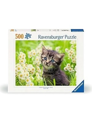 SHC4200 Ravensburger 500P Puzzle Kedi Foto, Yapboz
