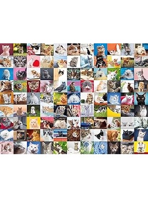 SHC4200 Ravensburger 1500 Parça Puzzle 99 Kedi