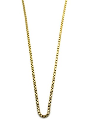 İsmiyle Al Yılan Zincir Kolye - 45 cm - Altın