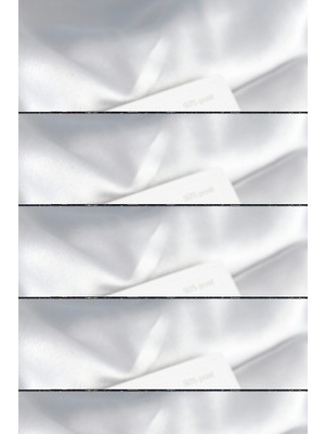 Flamex Pirinç Gold Renk Kemik Halka Model 925 Ayar Gümüş Çivili Kadın Küpe Seti