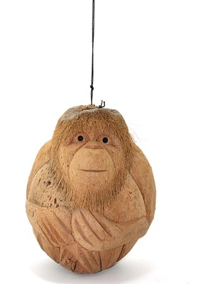 Coconat Maymun Büstü Model 1
