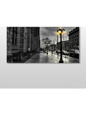 Technopa Gold Sokak Lambası Kanvas Tablo - 80x40cm