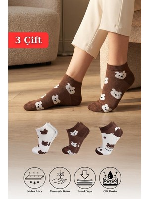 Rays 1116 3'Lü Ayıcıklı Patik Çorap Renkli