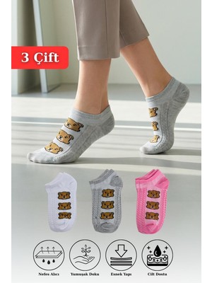 Renkli Ayı Desenli 3'lü Örme Patik Çorap 1204